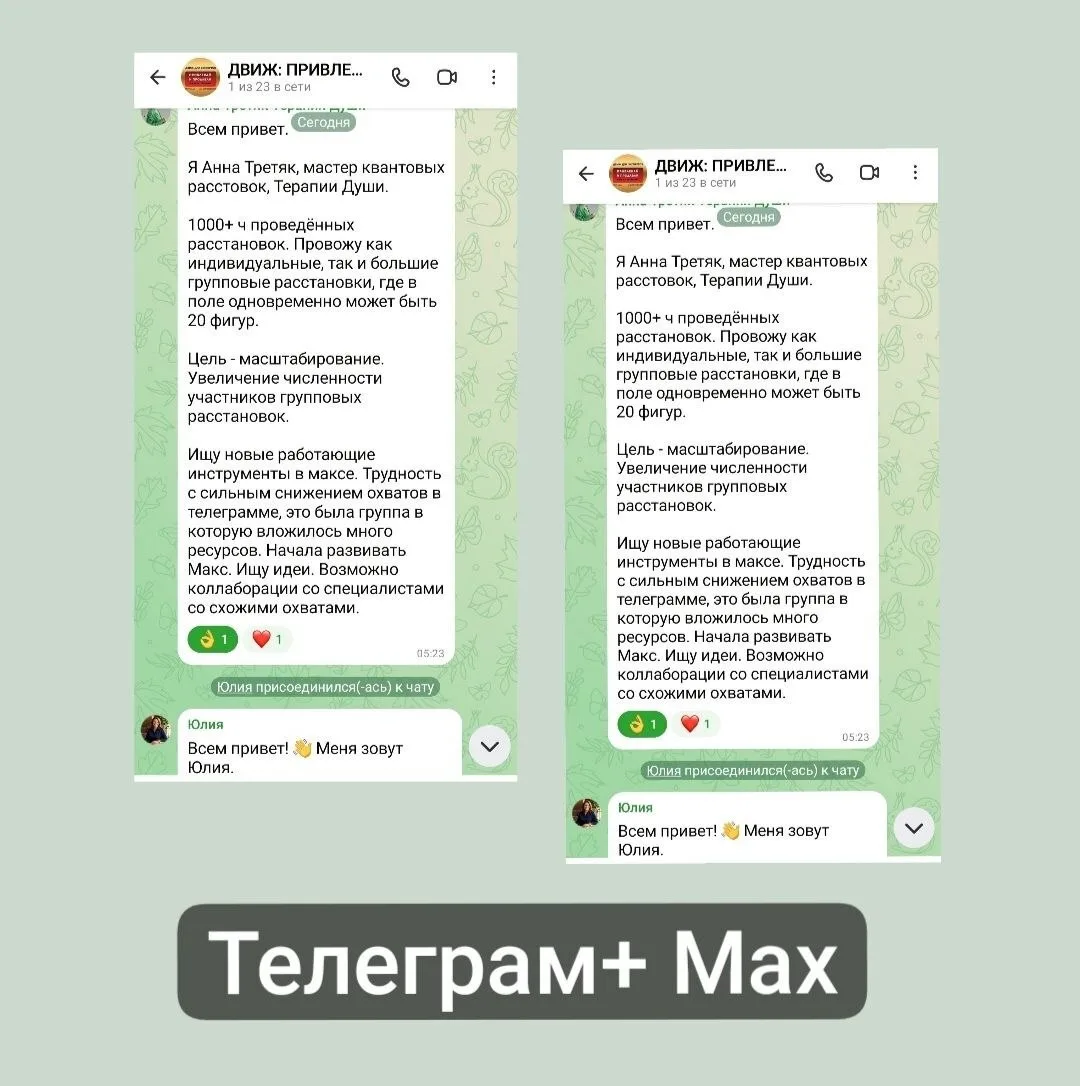 В Движ присоединились уже 65+ экспертов на площадках МАХ и Телеграм.

🔥Каждый час мест становится в