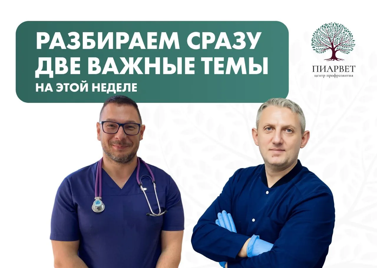 📚На этой неделе разбираем сразу две важные темы: открытие ветеринарной клиники и работ...