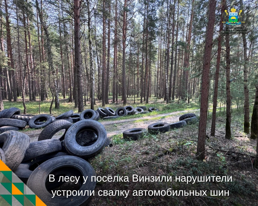 ⚠ Одни свалки ликвидируют, другие появляются…

С начала года в лесах Нижнетавдинского и Тюменского о