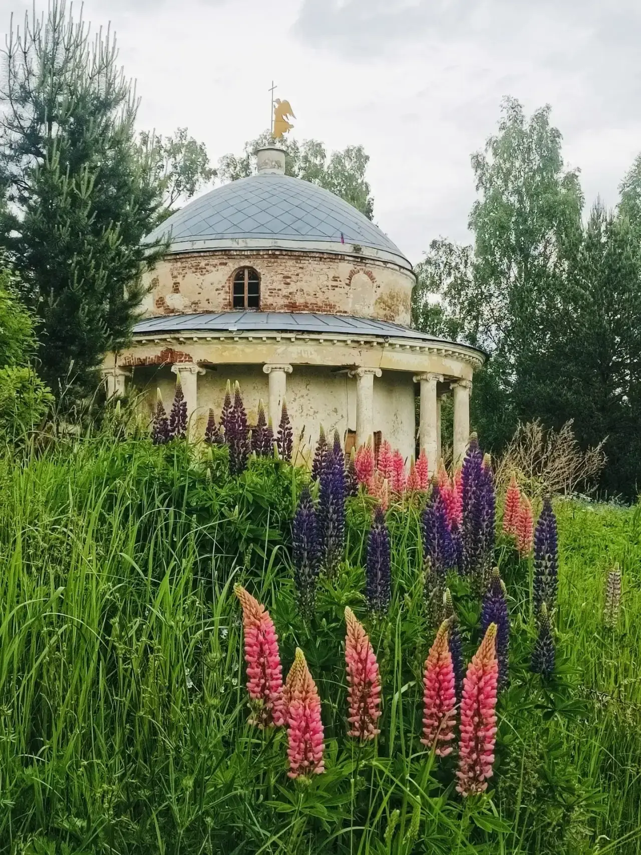 Дорогие атлеты!