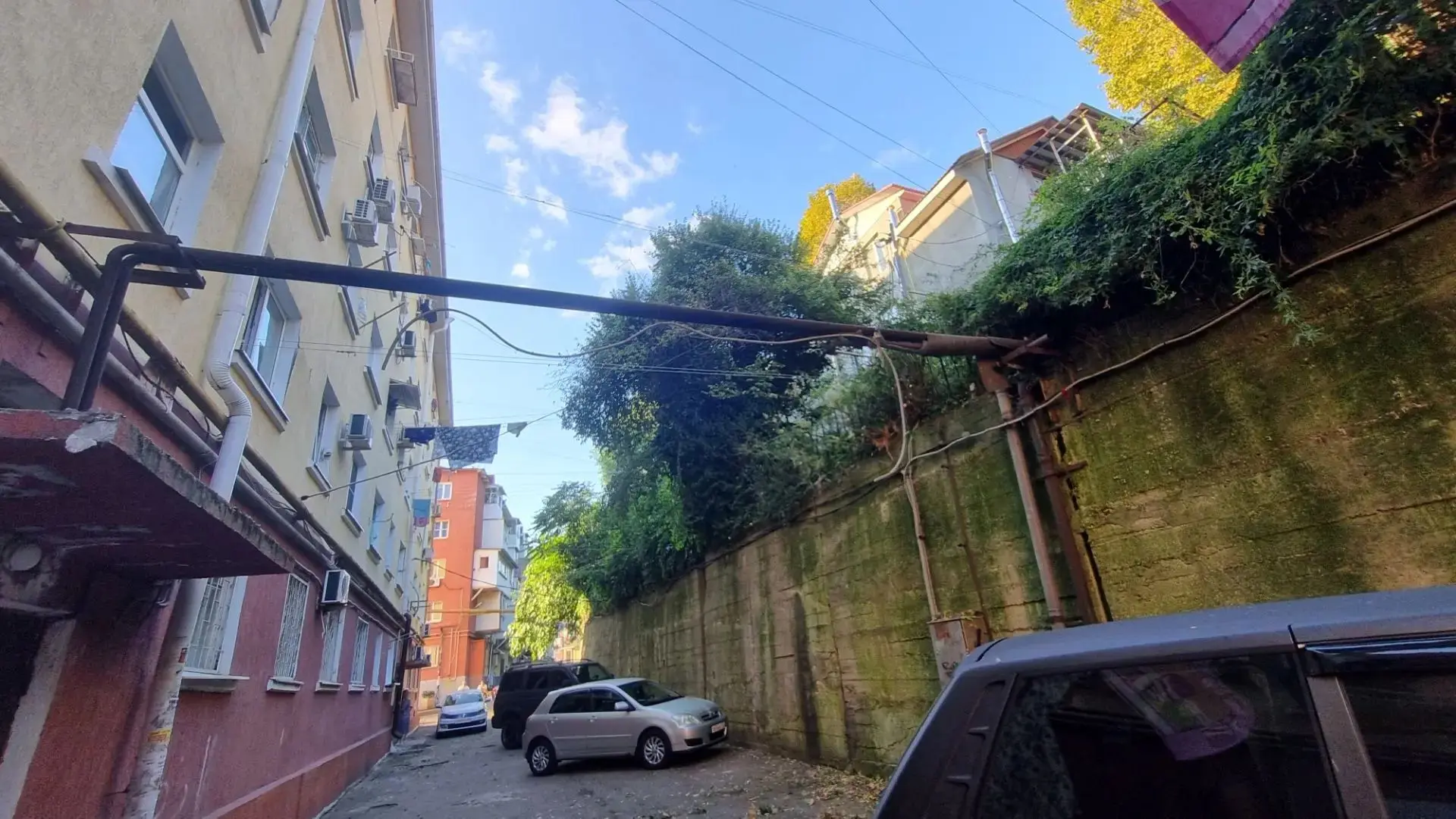 Выполнены работы по обрезке растительности на опорной стене многоквартирного дома 8 по ...