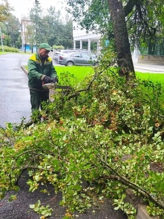 Как уже успели заметить жители Петербурга, погода в городе всё чаще напоминает о прибли...