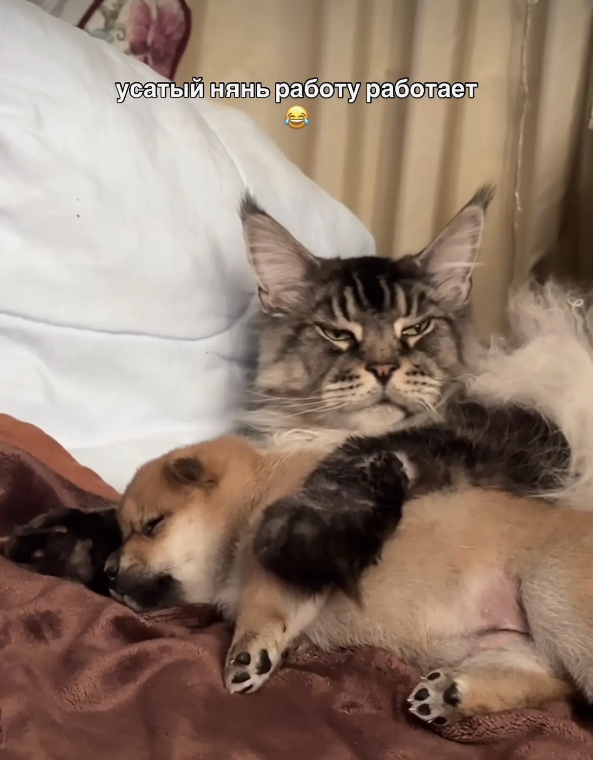Милота😍