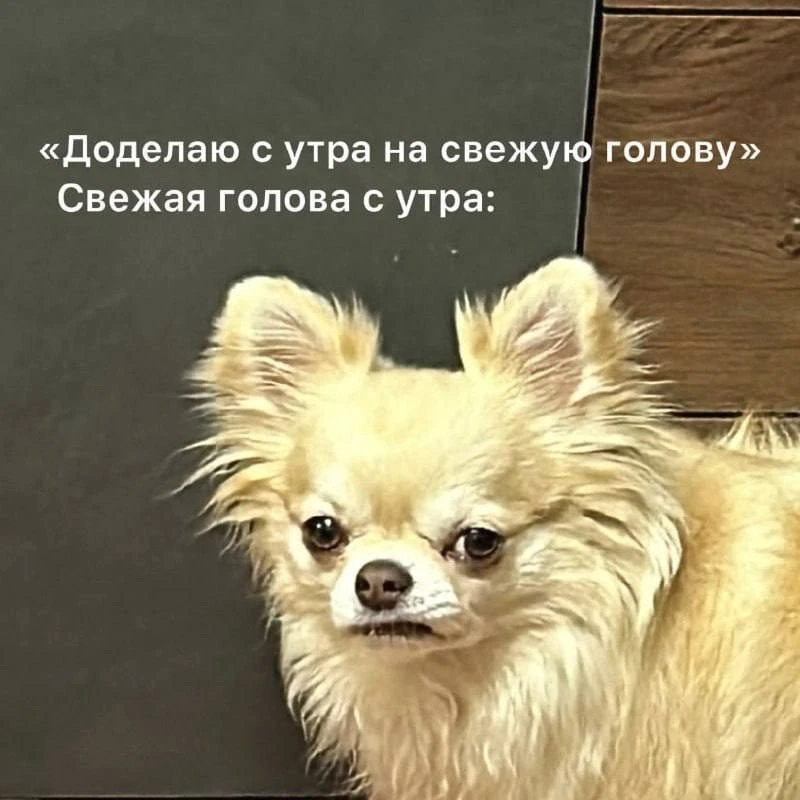 С днем свежей головы!