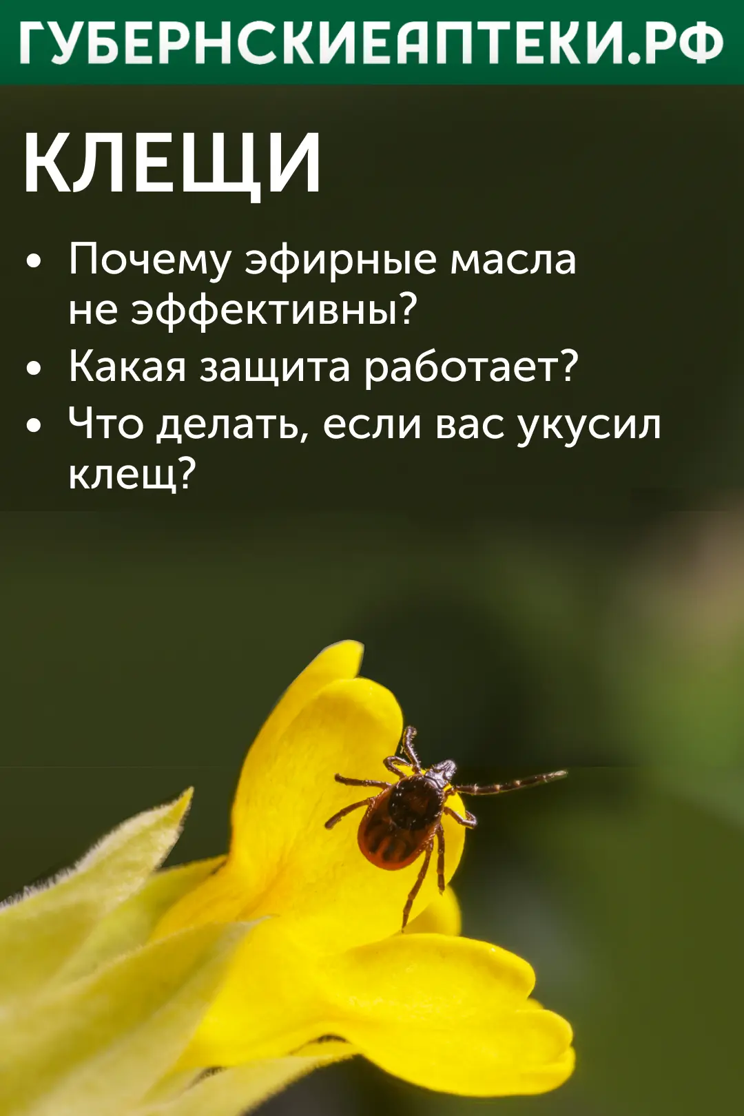 В этом году эпидемиологическая ситуация по клещевым инфекциям требует особого внимания. 

Аномально 