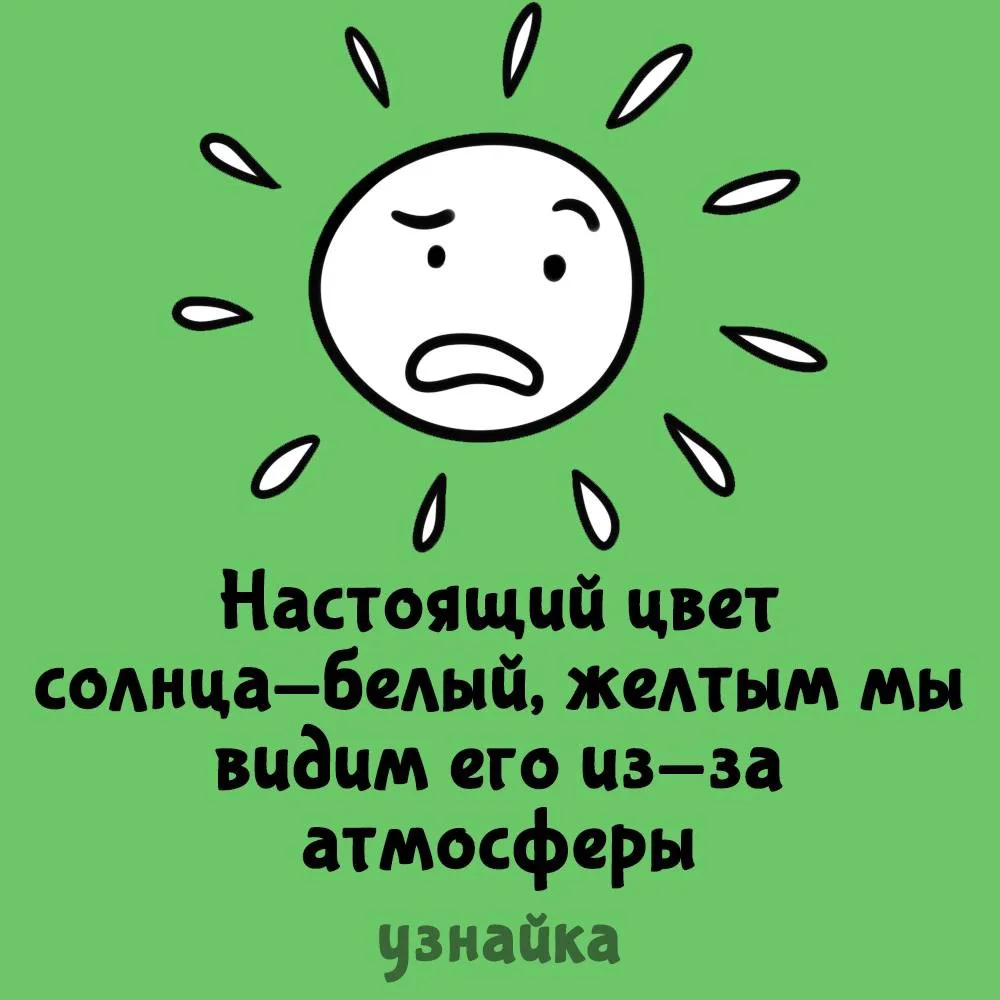 Кругом обман🥲
Узнайка
