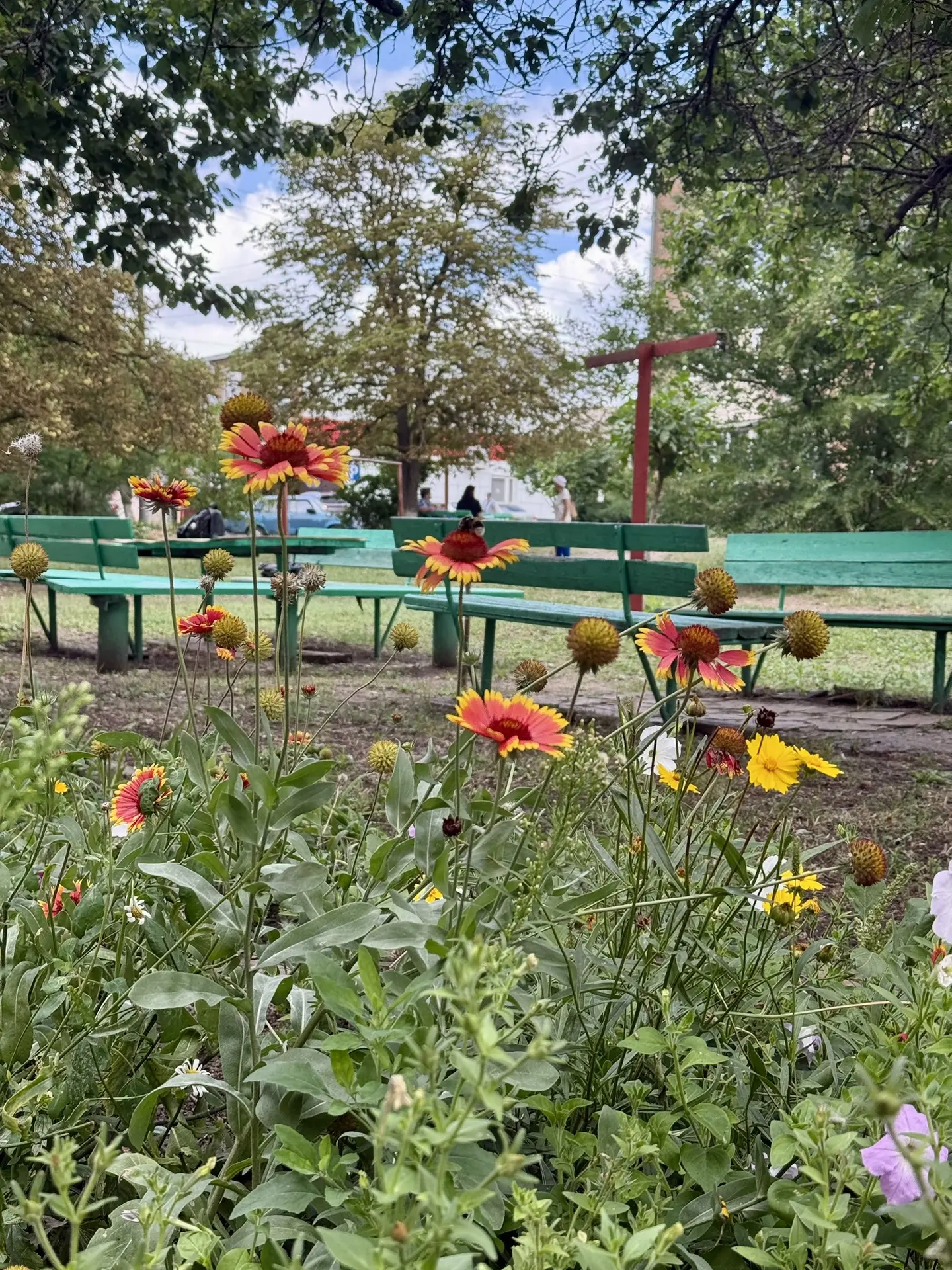 Доброе утро, Красный Сулин! 🌸
_______________  

Погода 30 июля:                                   