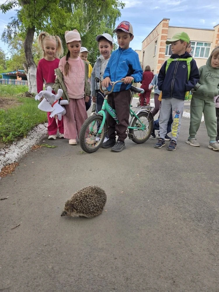 А у нас с утра гости