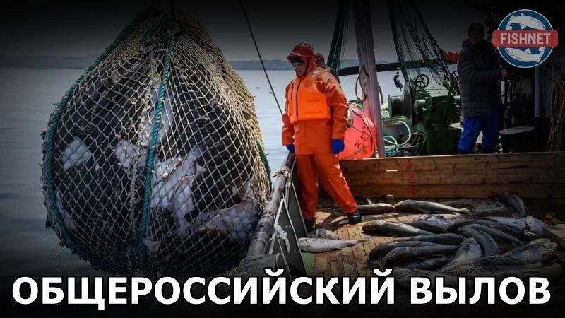 🐟 Общероссийский вылов водных биоресурсов к 19.08.2026