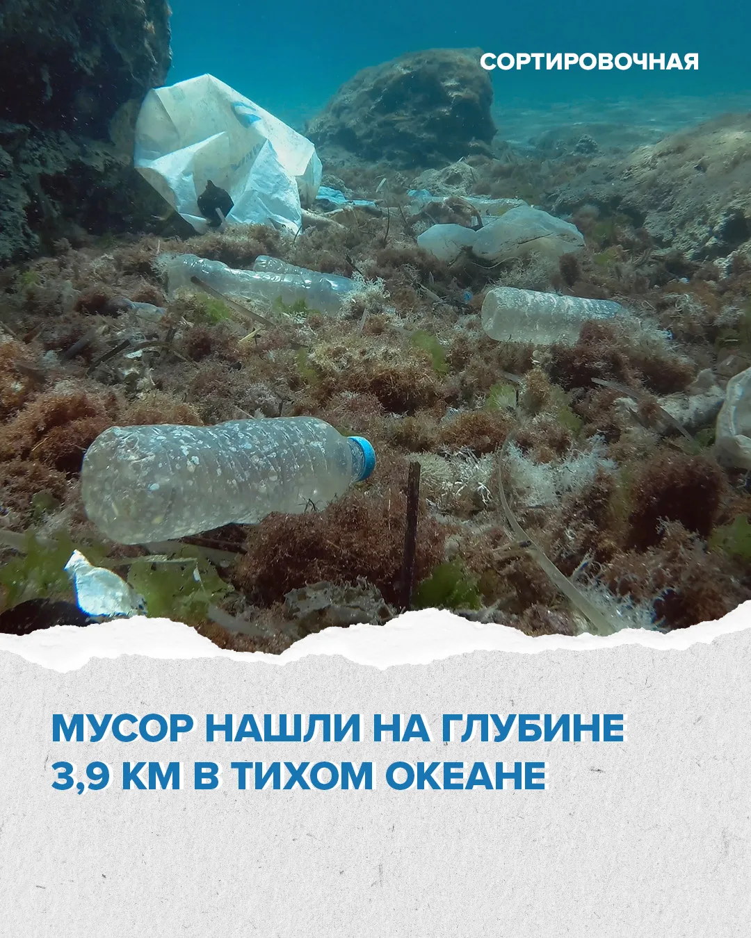 🦀 Учёные обнаружили мусор на участках морского дна, которые до этого оставались вне по...