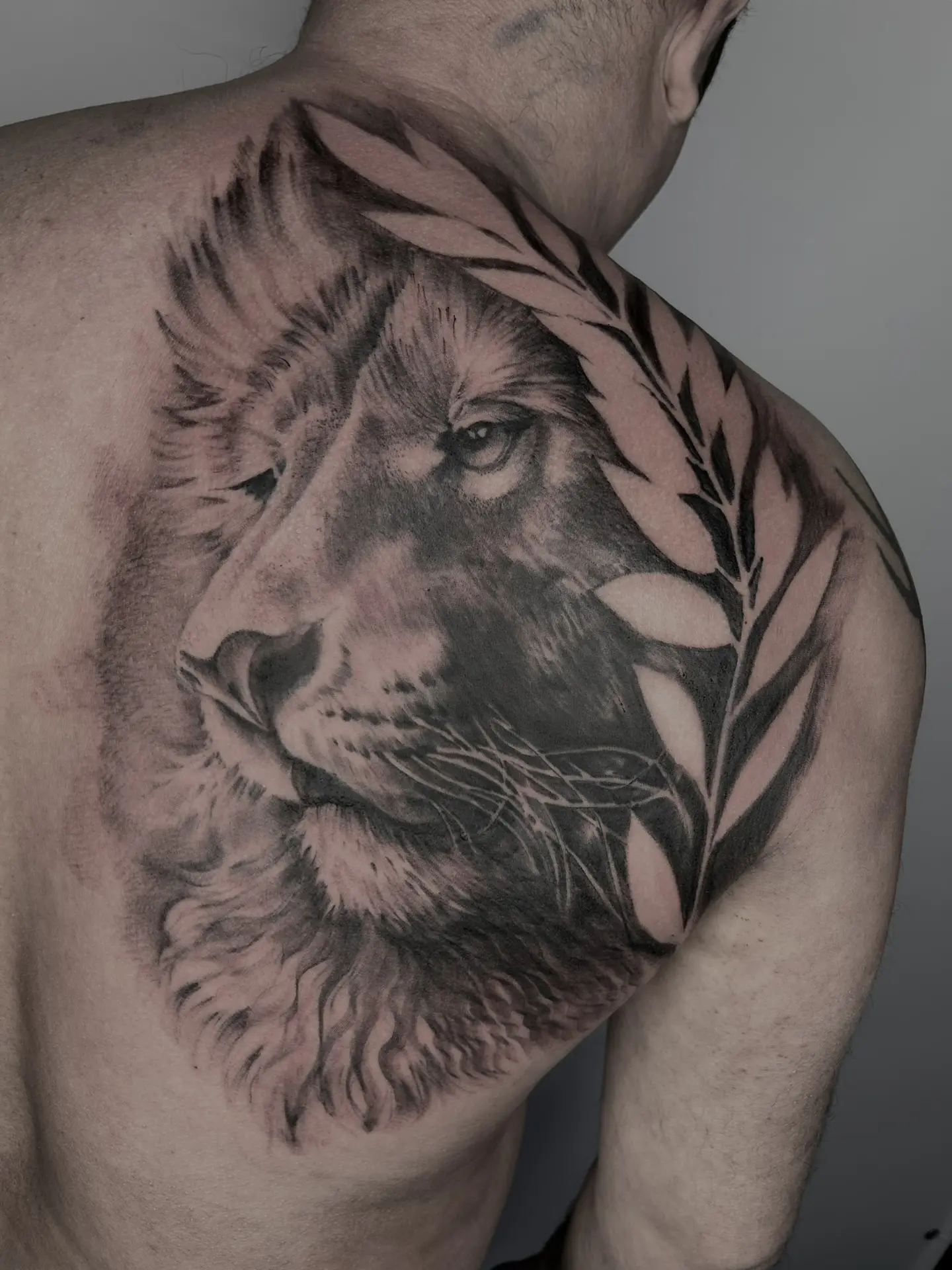 •ВК: https://vk.ru/tattooday_tattoostudio