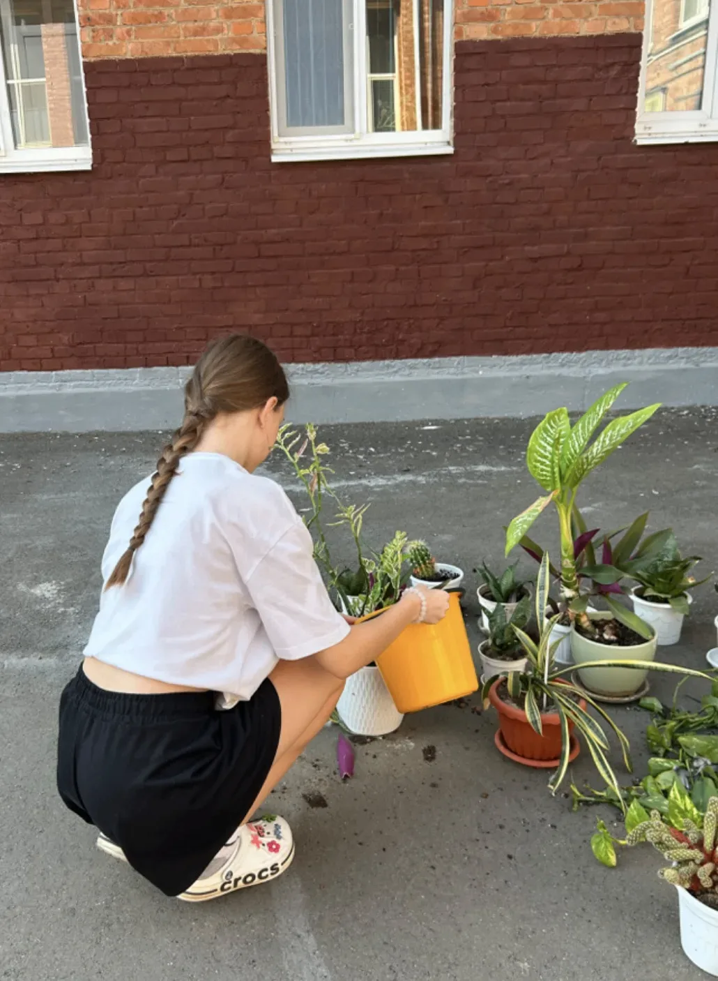 Сегодня, 26 августа, у 9 «В» класса МБОУ СОШ № 11 им. Ф. Ф. Ушакова продолжилась летняя...