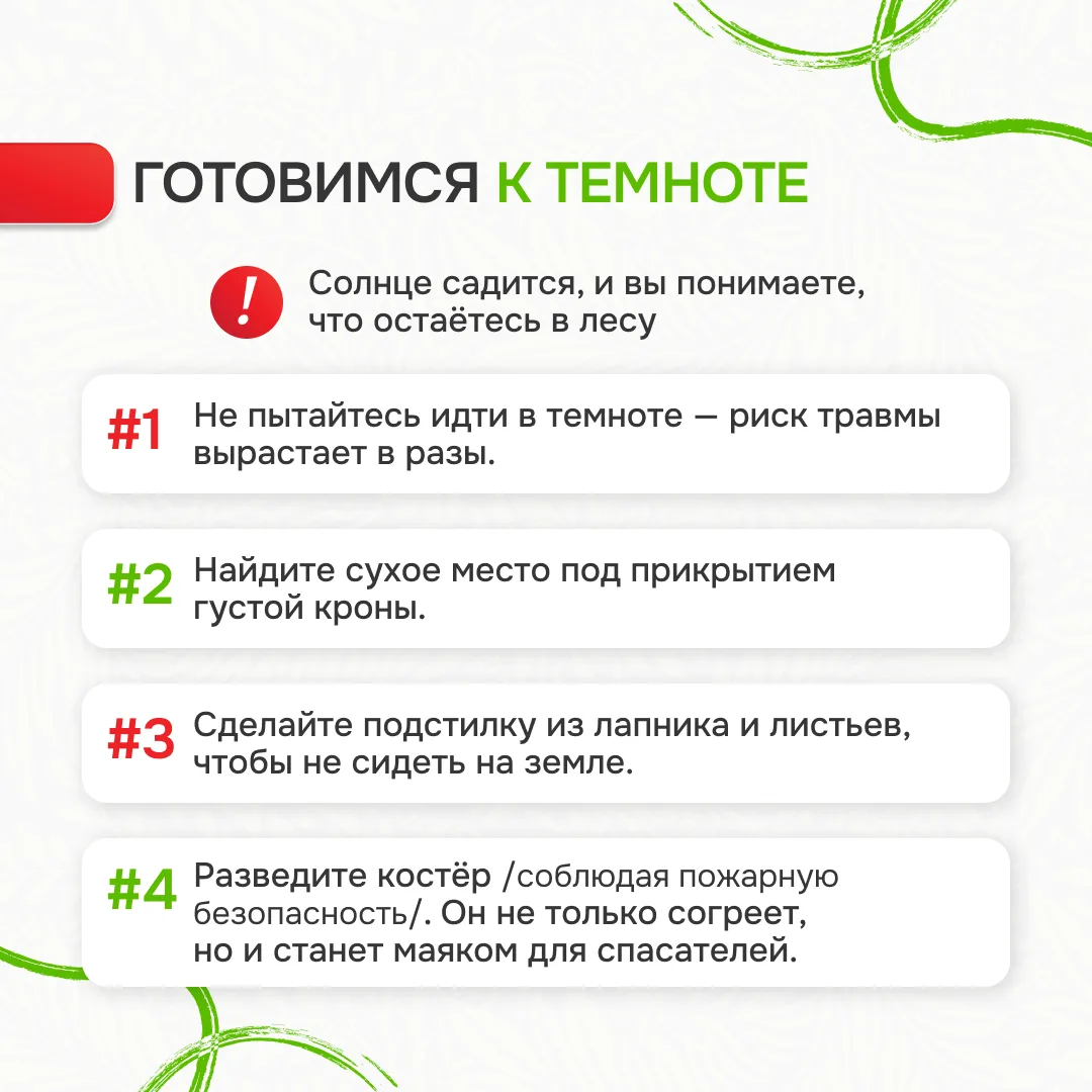 Памятка «Лес без происшествий»: Ваш гид по безопасному отдыху на природе Лес – это удивительное мест