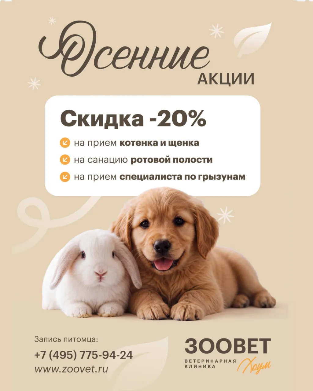 Дорогие друзья!