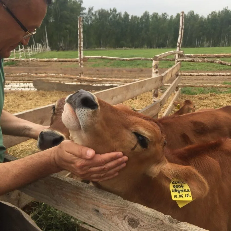 🌱 Почему России нужна органика