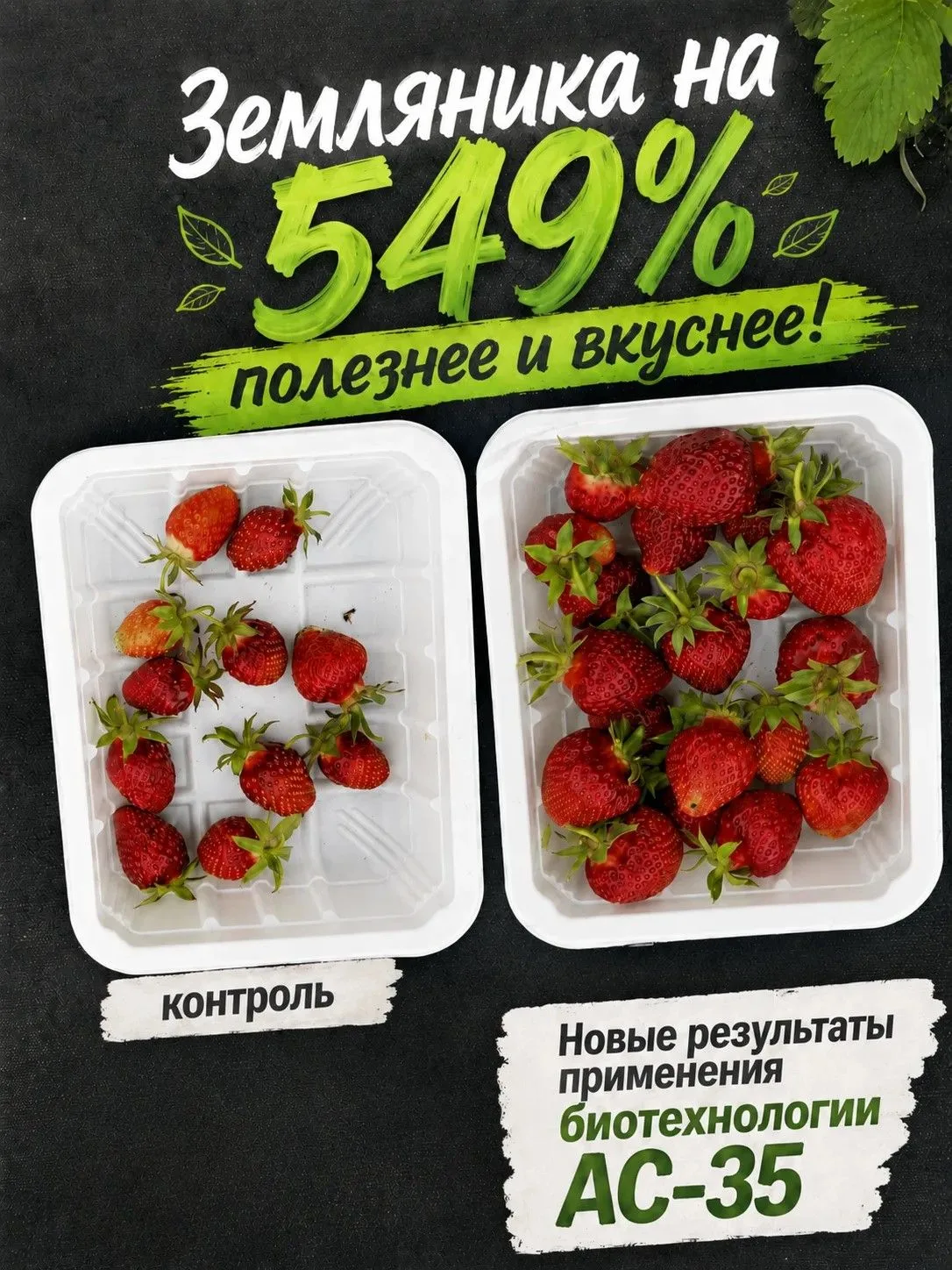 Землянику садовую можно вырастить на 549% полезнее для здоровья