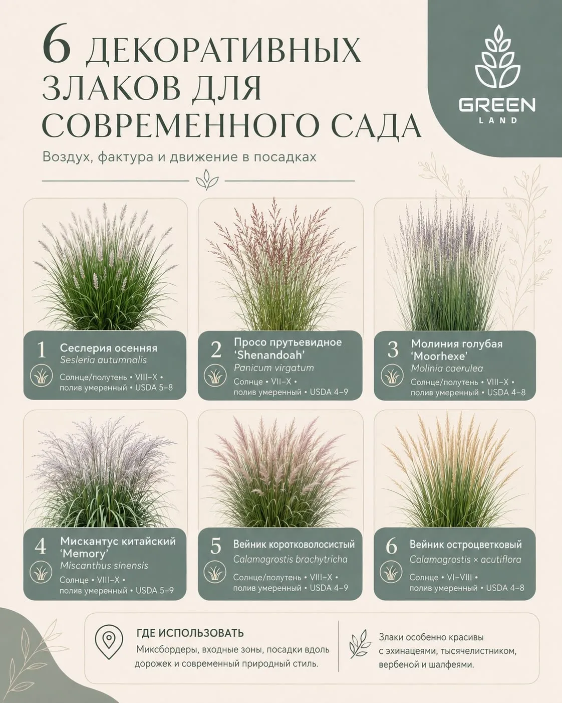 Подборка декоративных злаков 🌾