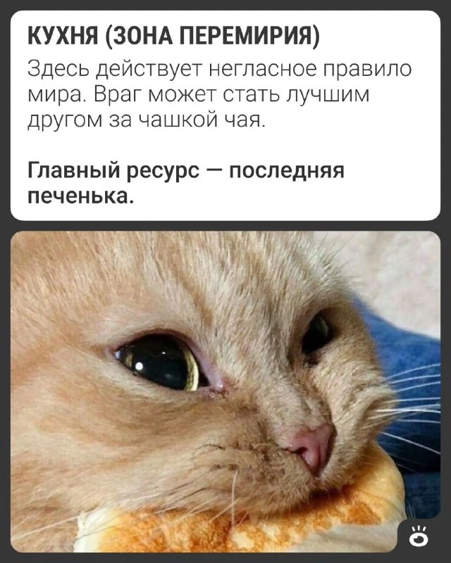 Для тех, кто только что устроился в новый офис, или для «бывалых», решивших исследовать неизведанные