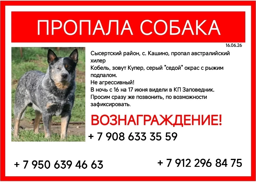 Мы во Вконтакте
Предложить новость