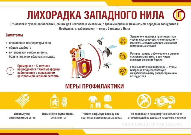 🦟 Лихорадка Западного Нила: что нужно знать ⚠️Это вирусная инфекция, передающаяся чере...