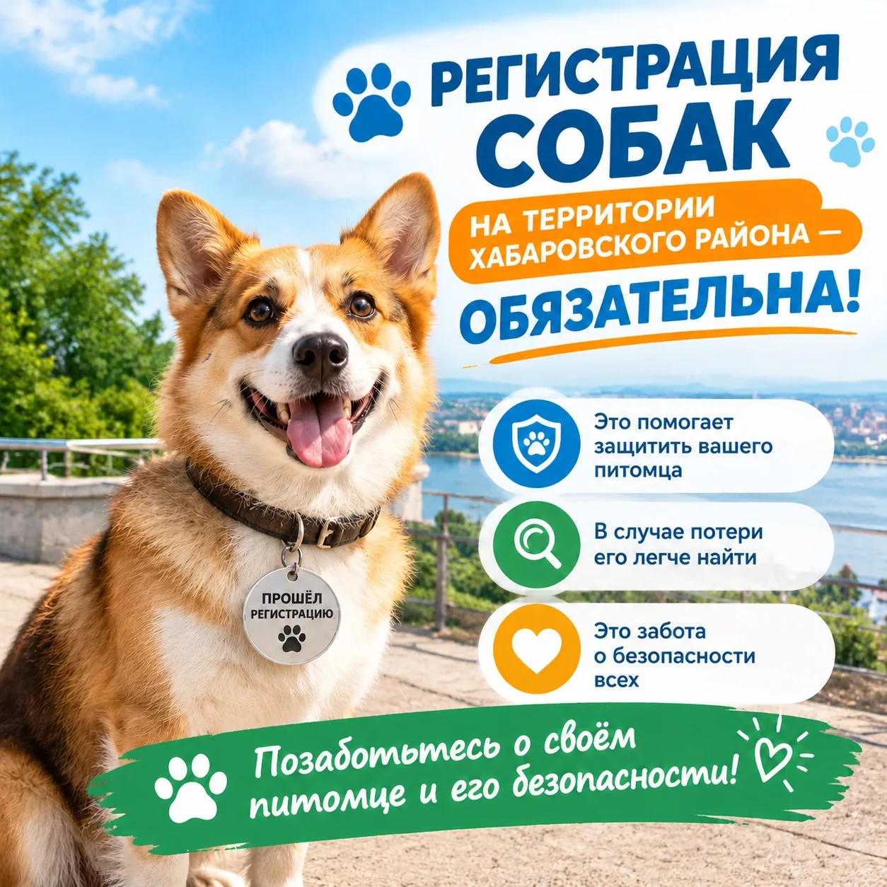 Зарегистрируй питомца и спаси ему жизнь