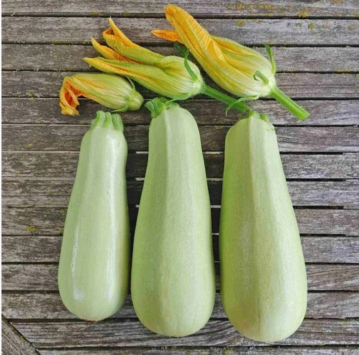 Кабачок способен визуально омолодить на 5–7 лет! 🥒