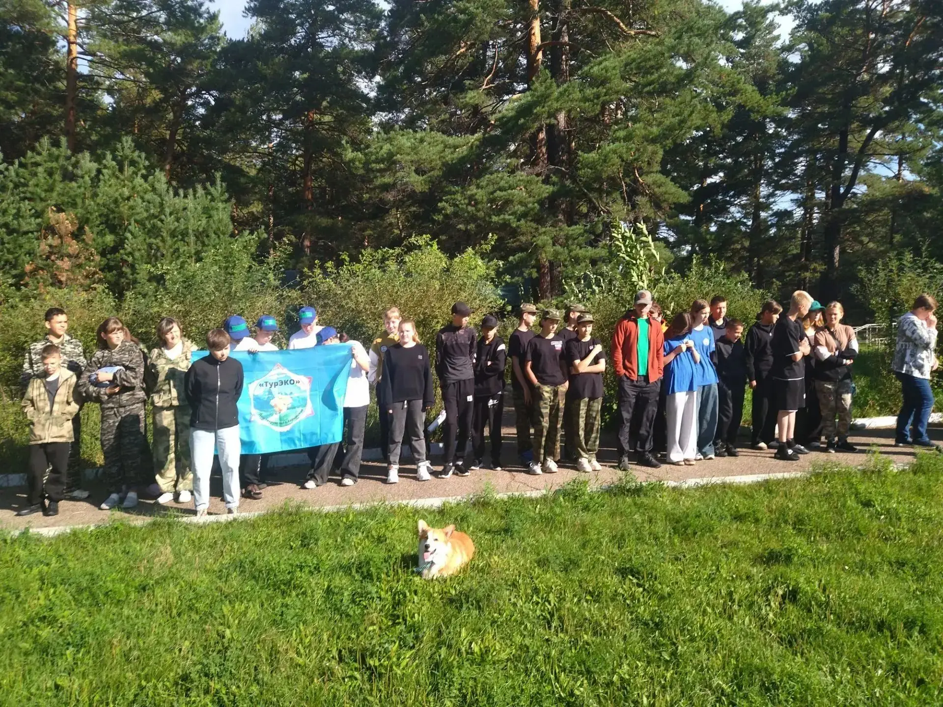 Добрый день ☀️