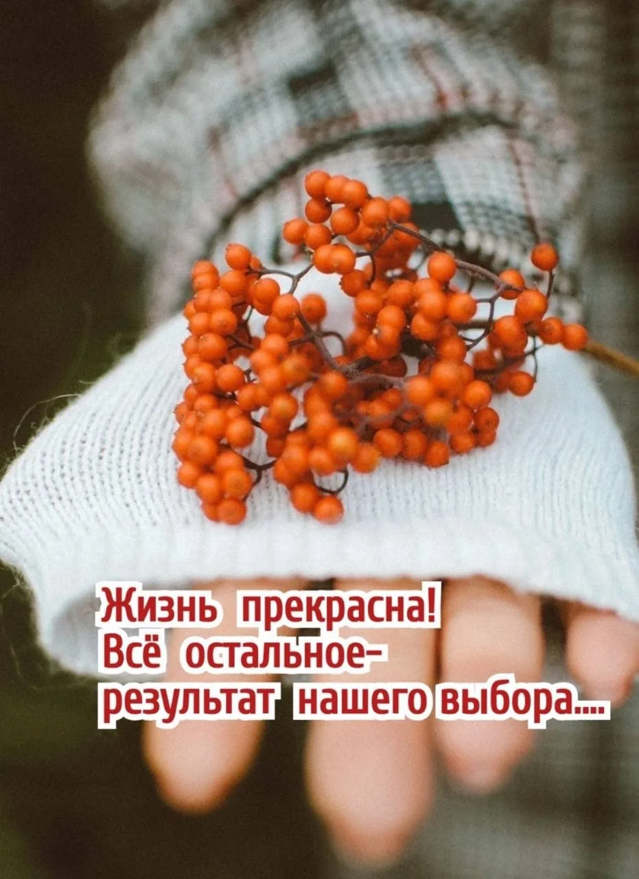 Смысл в каждой фразе — Подпишись