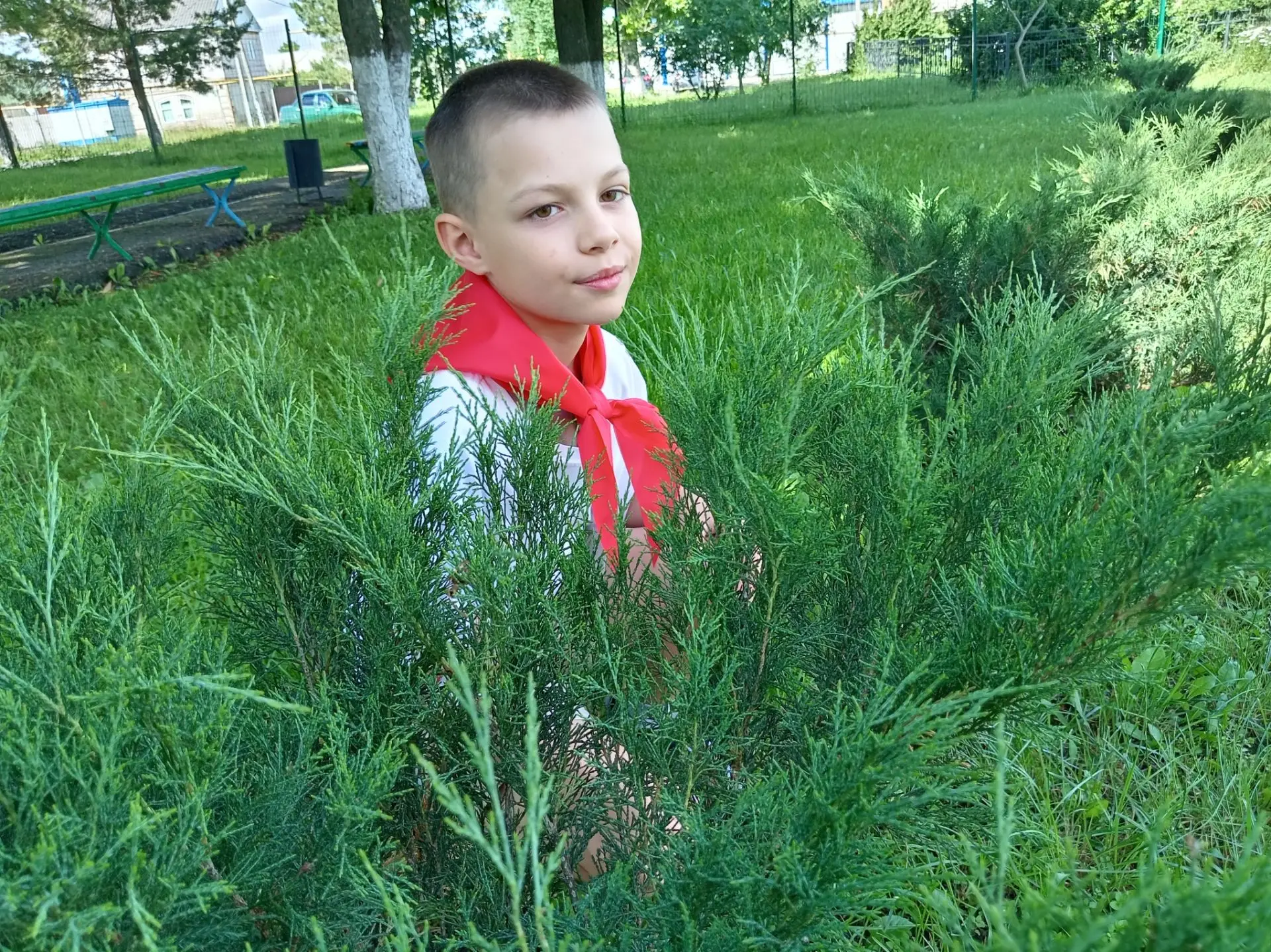 🌿ЦИФРОВОЙ ГЕРБАРИЙ🌿

🍀Можжевельник - род вечнозеленых хвойных растений семейства Кипарисовые. Мож