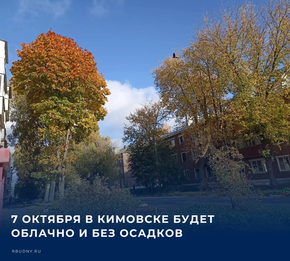 ☁️ По данным Тульского центра по гидрометеорологии и мониторингу окружающей среды, днём...