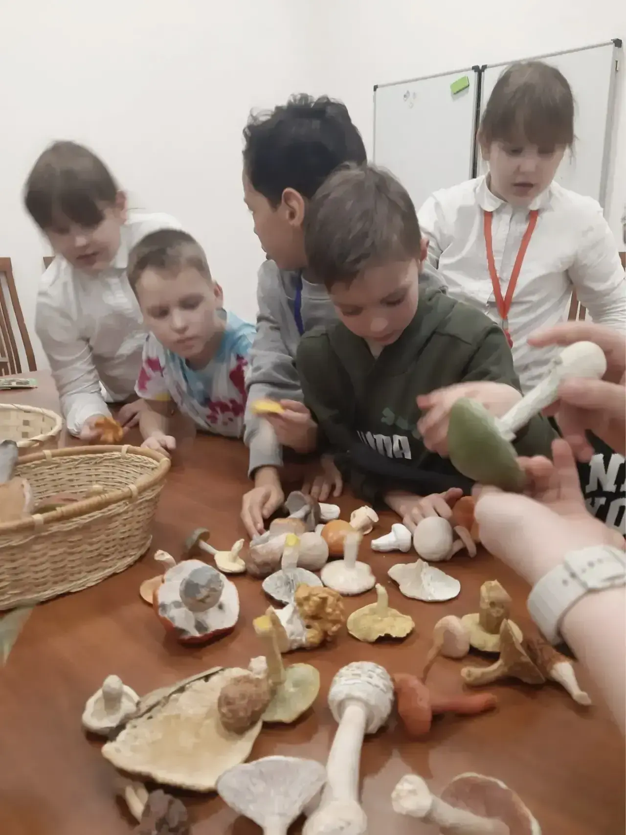 🍄 «ТИХАЯ ОХОТА» В ДАРВИНОВСКОМ МУЗЕЕ  🤔 Кто сказал, что сезон грибов еще не открыт? Ученики 3Н класс