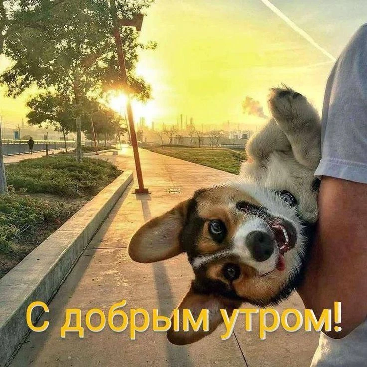 Ну наконец-то выходные 🥳🎉