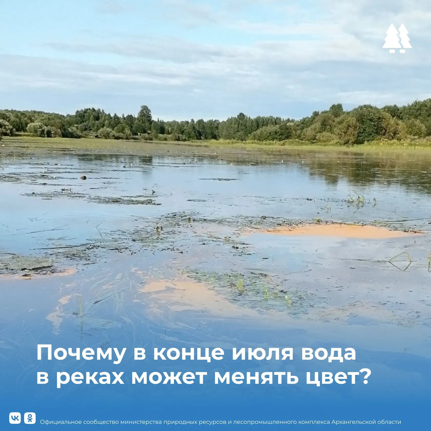 🤔💧 Знаете ли вы, что в конце июля вода в реках иногда приобретает несвойственный ей оттенок?

Чаще