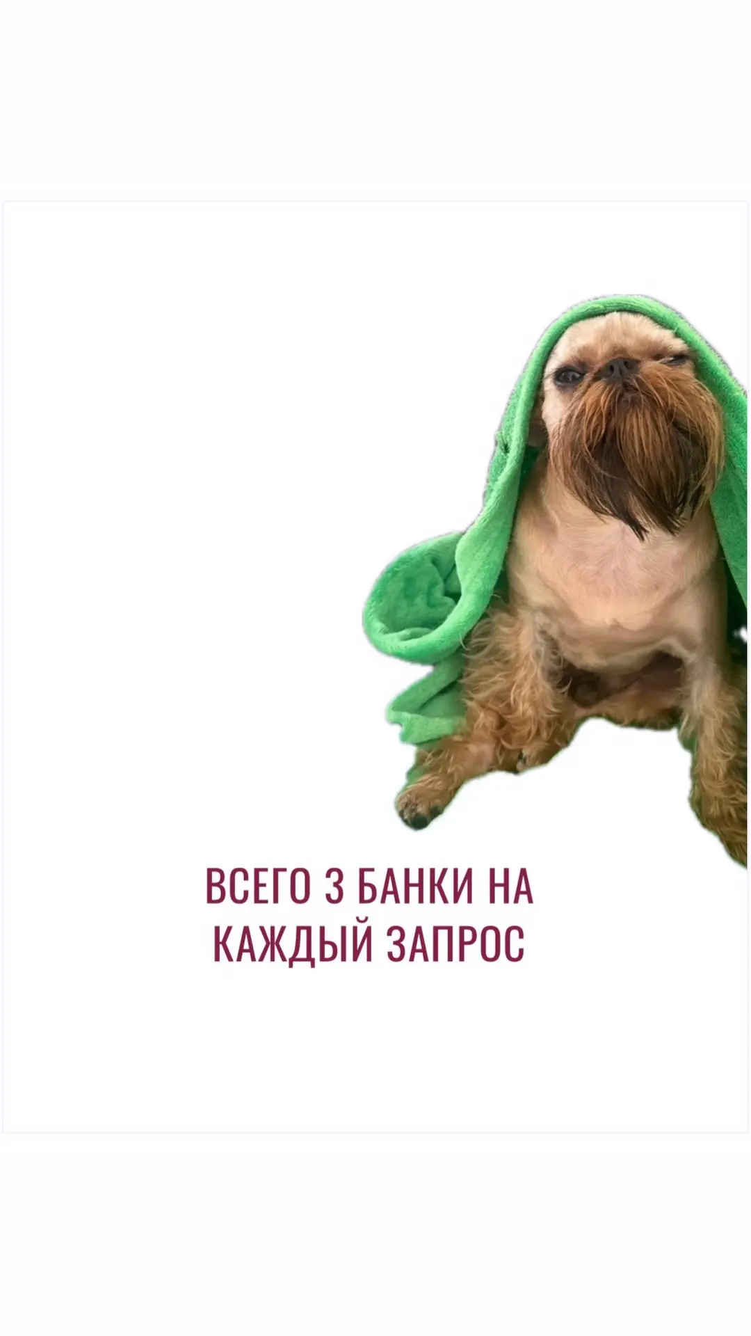 Берёте базу из 3 банок, если не знаете, с чего начать.