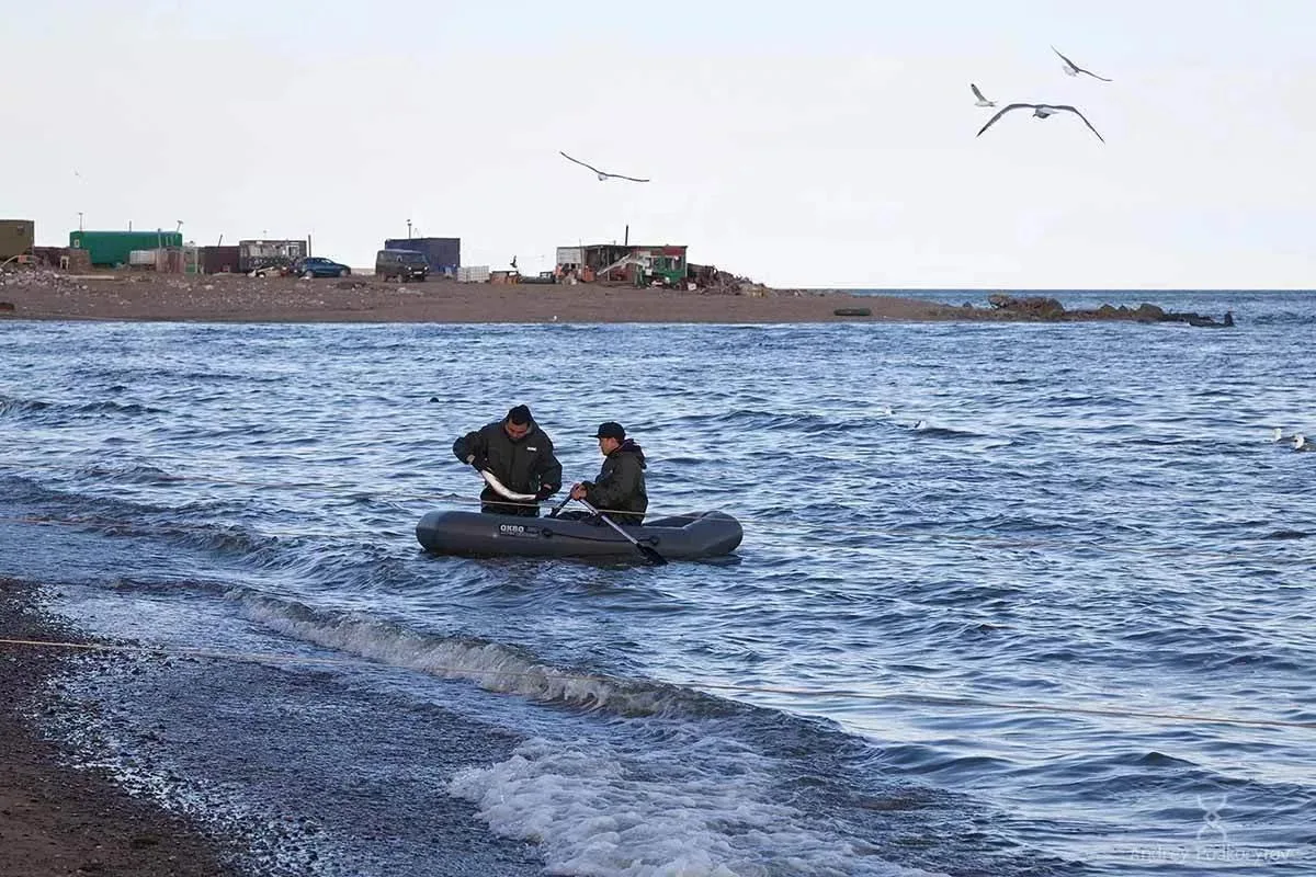🎣 Осталось 6 дней для подачи заявки на традиционное рыболовство в 2027 году