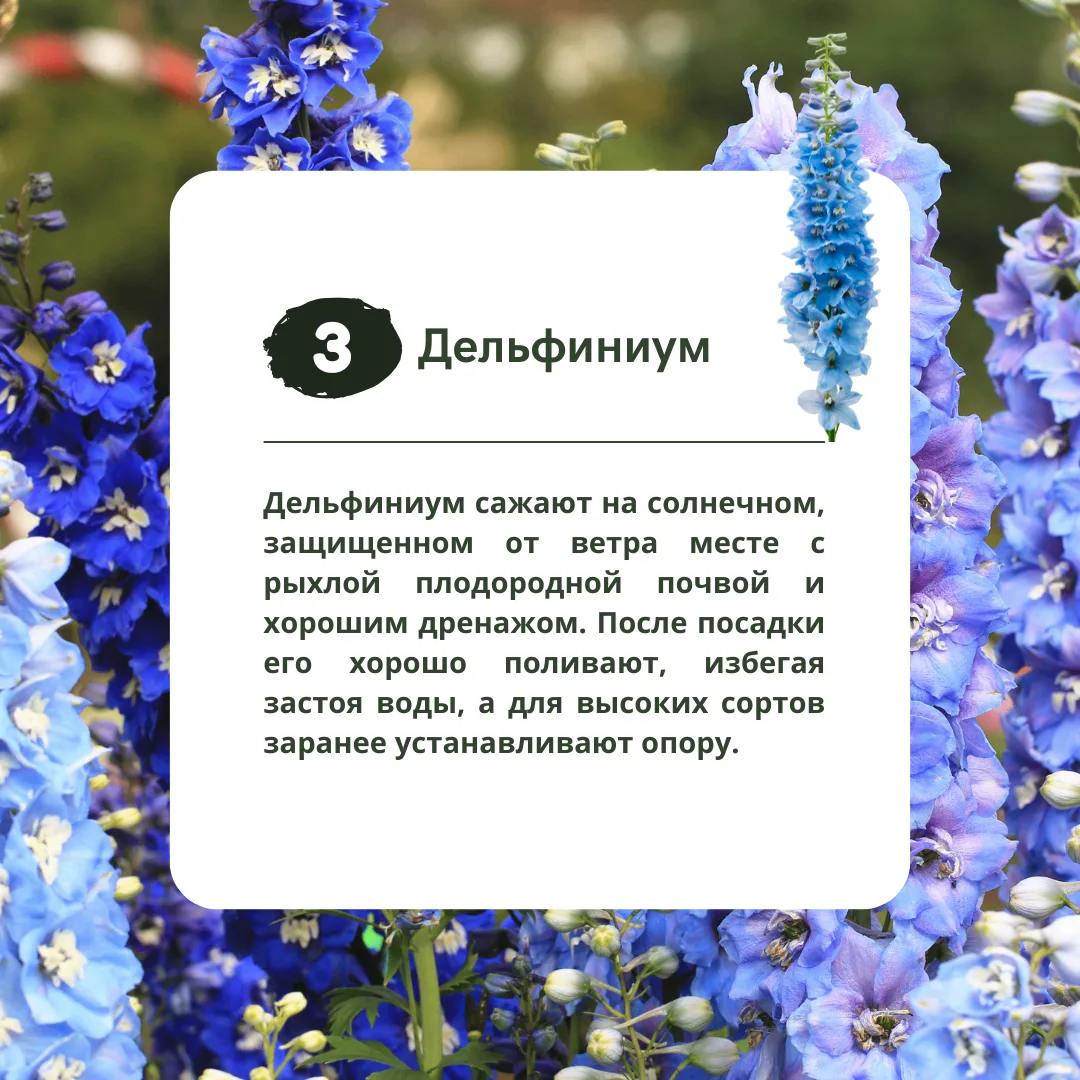 Изображение 4 к публикации «Идеи Вашего Дома»