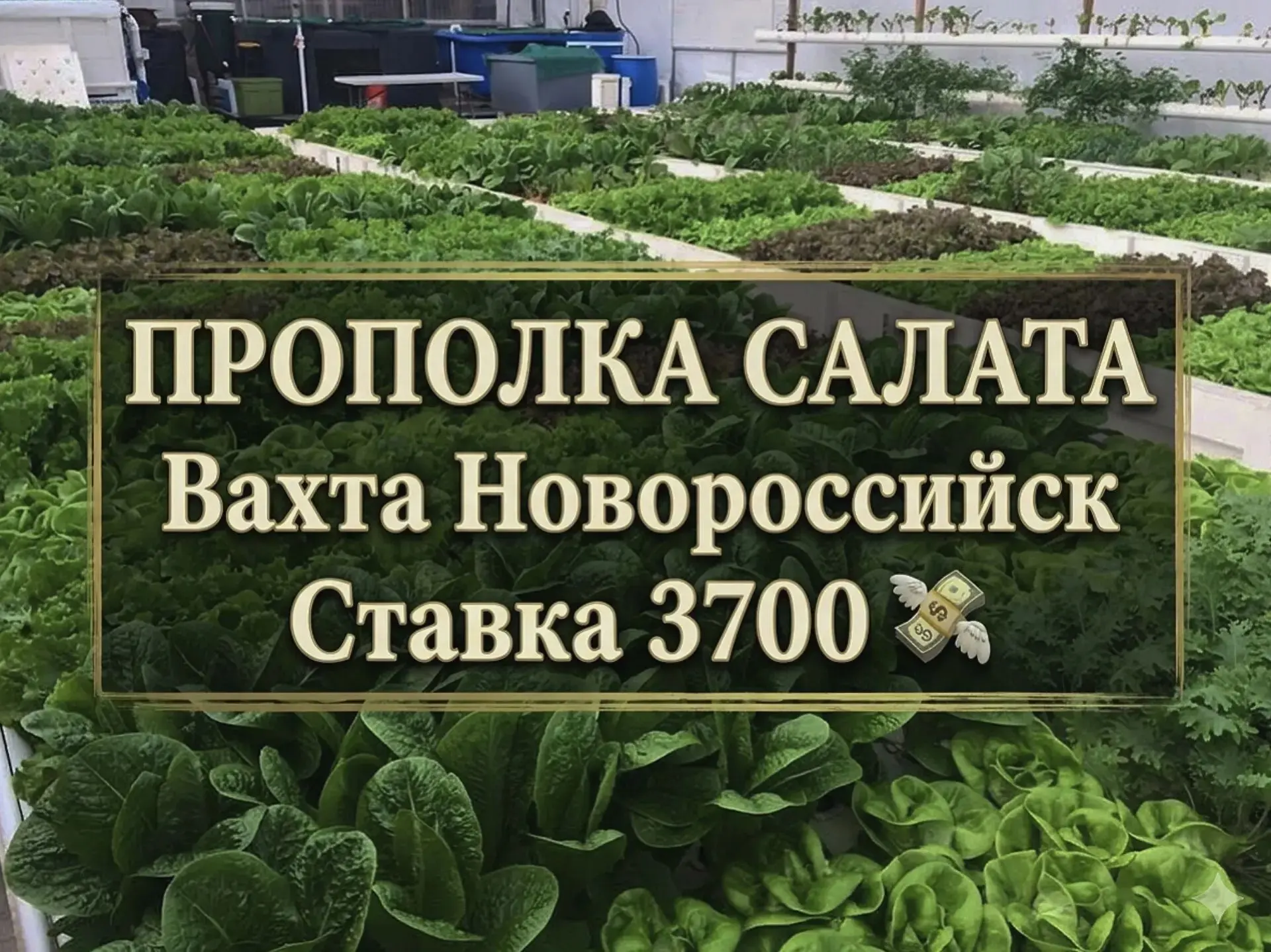 🔥🔥🔥ГОРЯЩАЯ ВАКАНСИЯ 🔥 🔥 👇👇