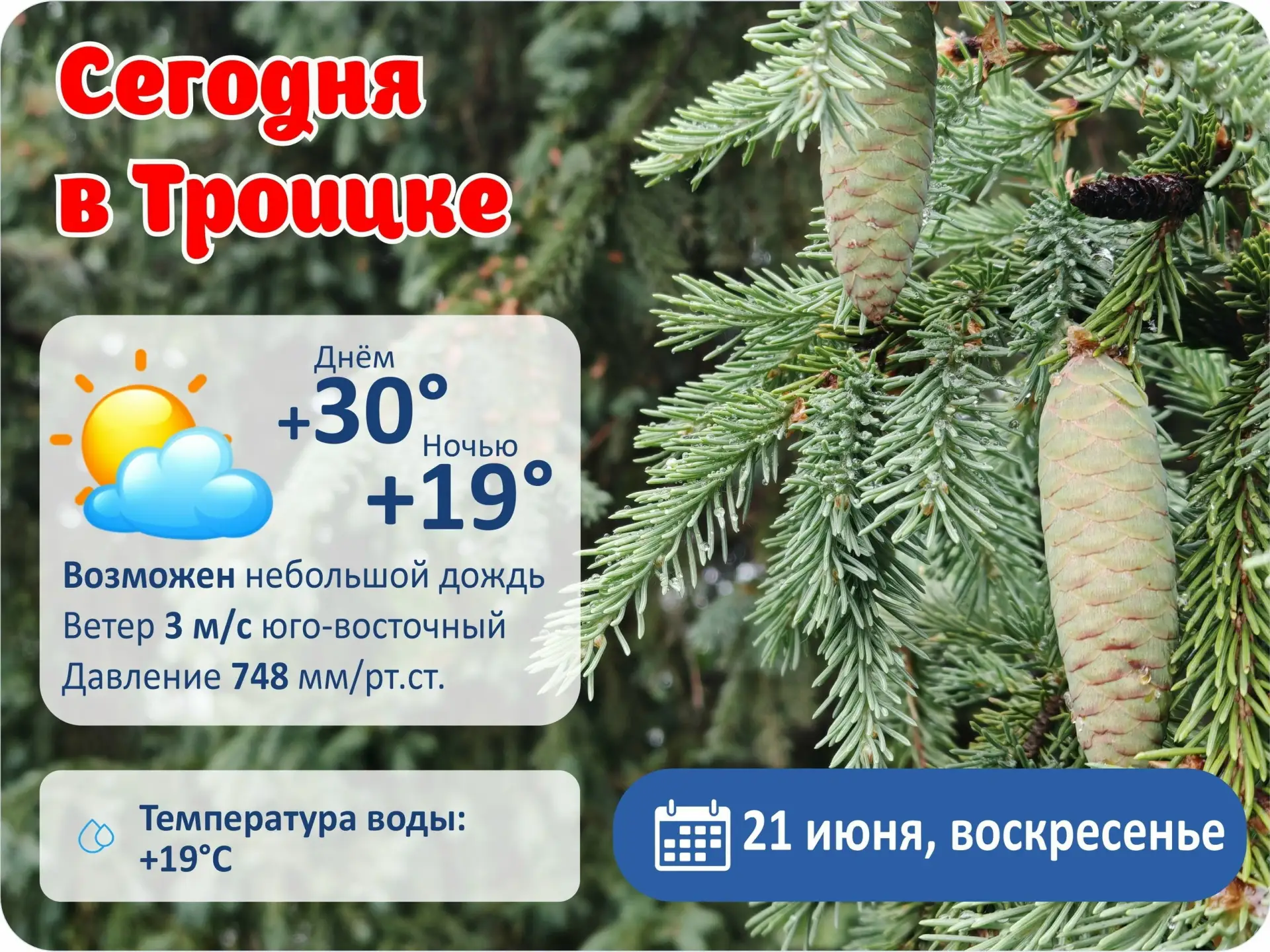 Доброе утро, Троицк!

 

Источник: Открыть