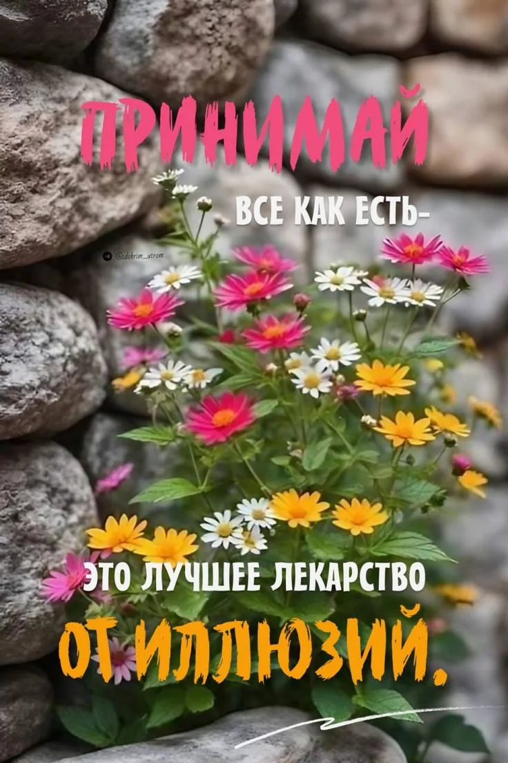 🧡🧡🧡