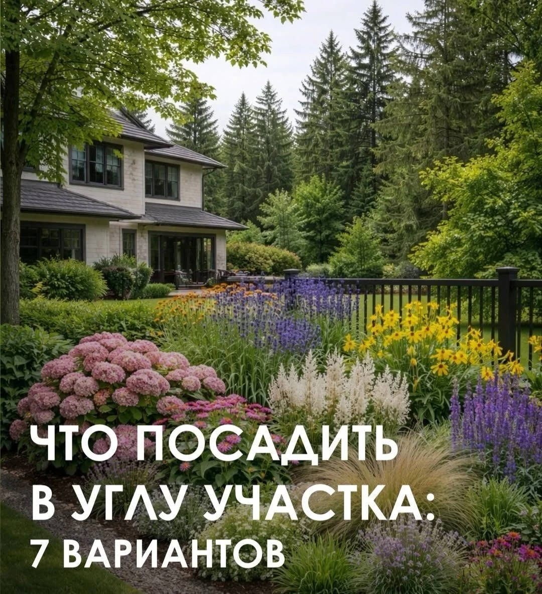 🌾Растения,  которые красиво выглядят в углу участка.