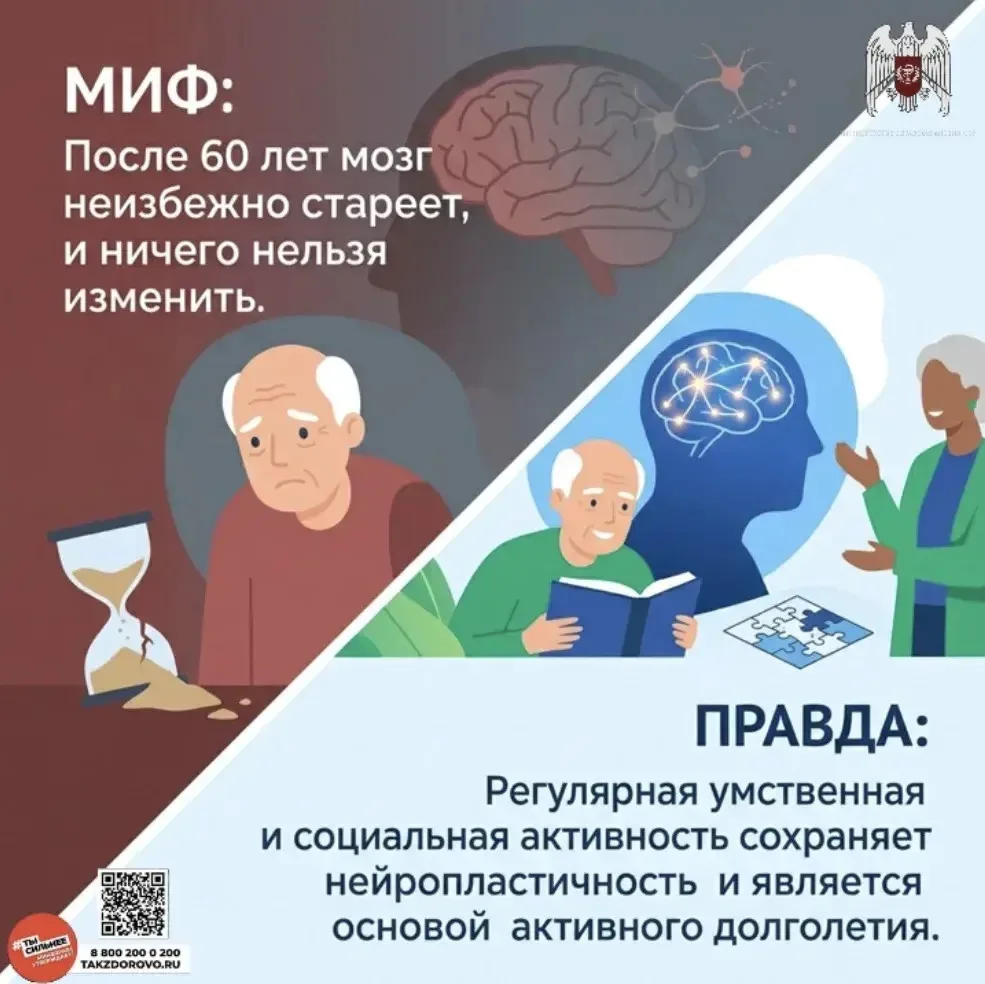 🔴 Развеиваем мифы и рассказываем правду о здоровье головного мозга в нашей инфографике
