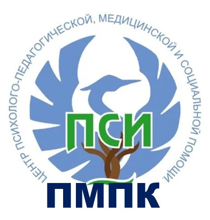 🧠🗣Как проходит обследование ПМПК