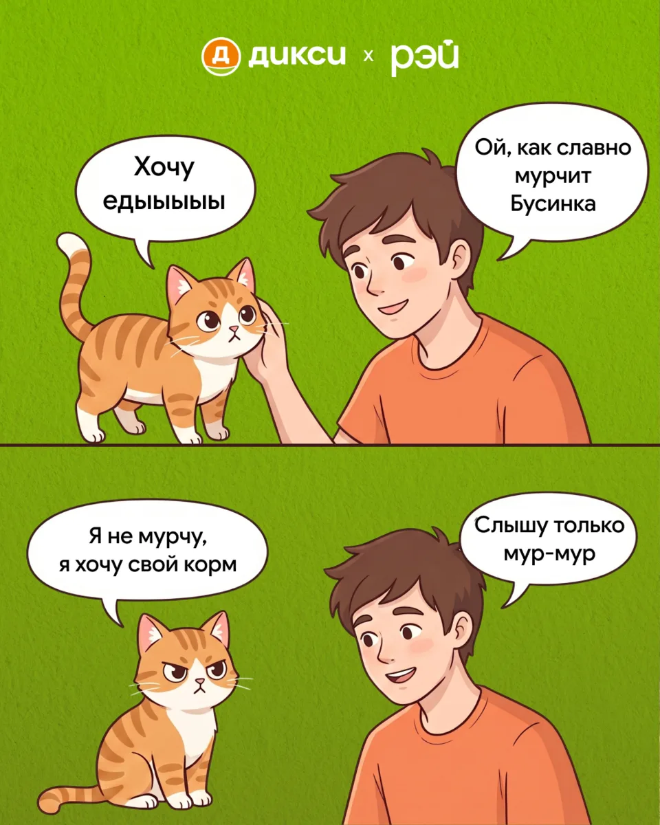 Кажется, Бусинка сегодня сказала все, что думает, просто на кошачьем 🐈‍⬛