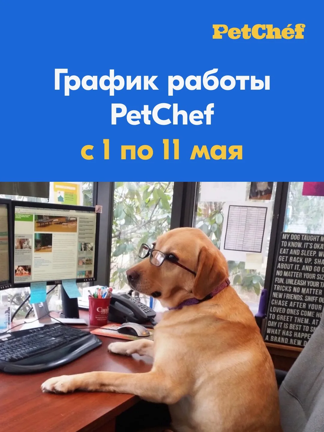 Делимся графиком работы PetChef с 1 по 11 мая 🗓️

И поздравляем с праздником Весны и Труда! 🤍

Над