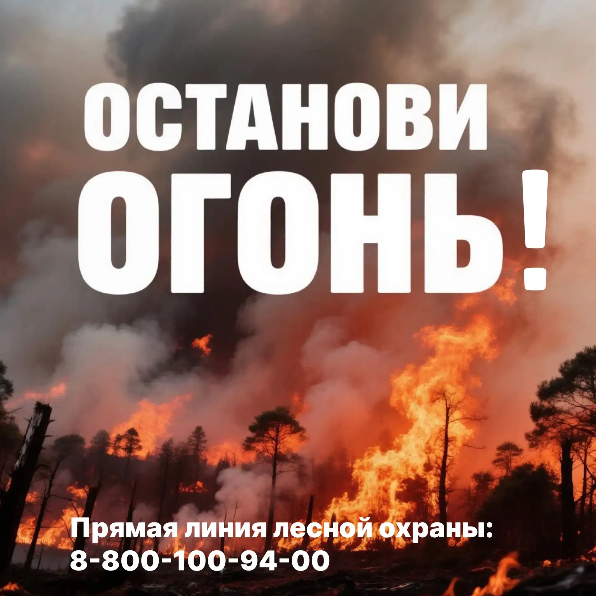 Останови огонь!
