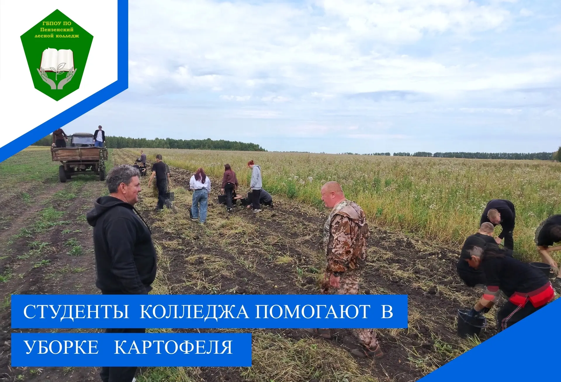 Студенты-волонтёры колледжа принимают активное участие в сельскохозяйственных работах, ...