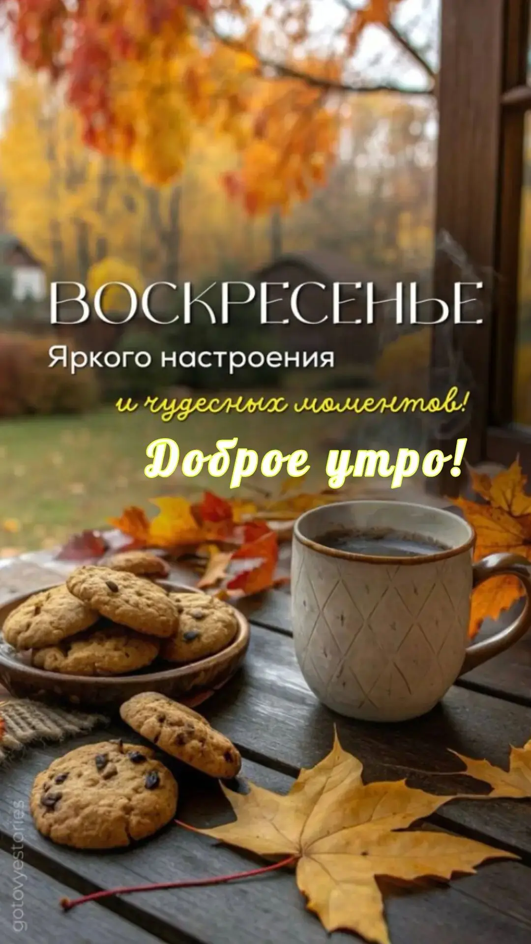 ☀️🍂 Доброго осеннего утра!