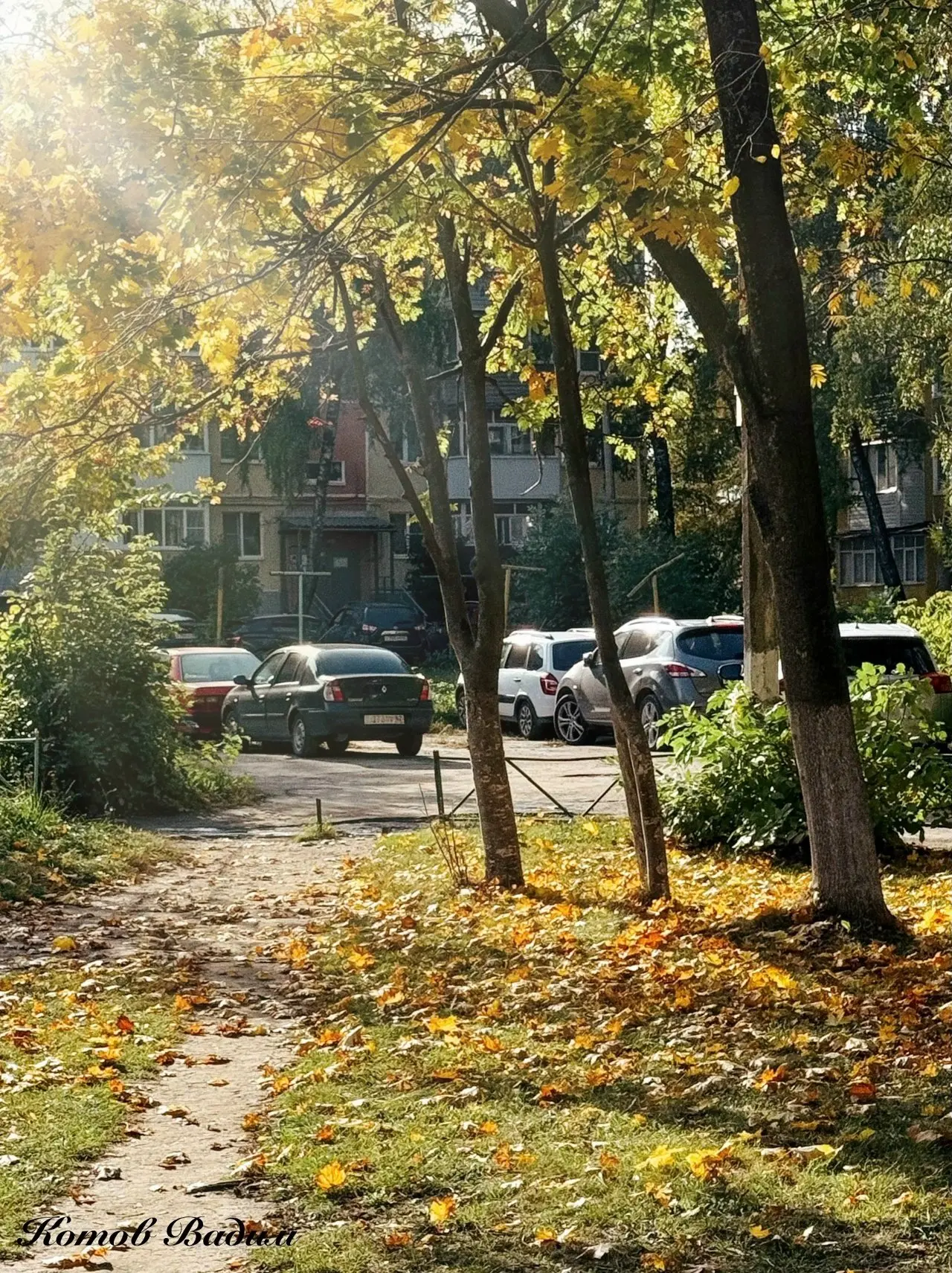 🍁Чудесная осень в Рязани.