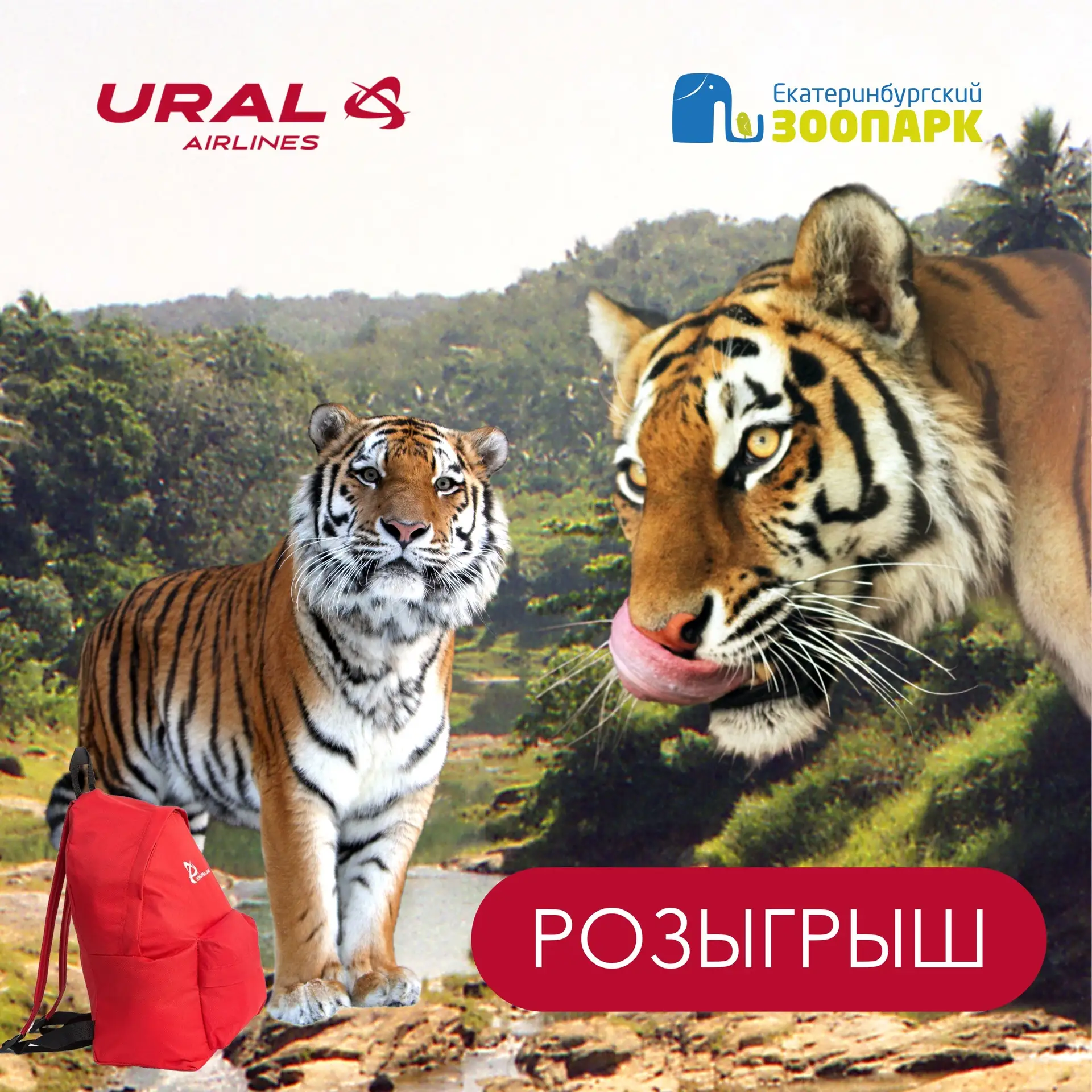 🐅✈️ Что общего у Екатеринбургского зоопарка и «Уральских авиалиний»?

Уже несколько лет авиакомпани
