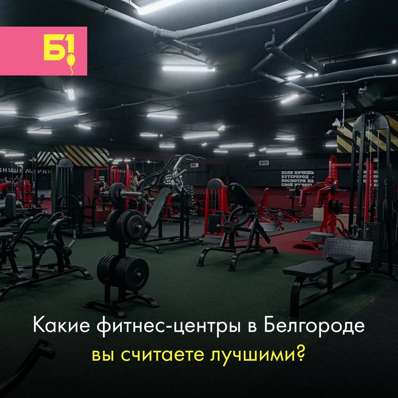 🏋 Сколько среди наших подписчиков спортсменов и адептов здорового образа жизни?